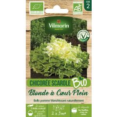 Chicorée scarole Blonde à cœur Plein Bio - Vilmorin