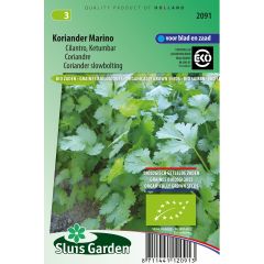 Coriandre Marino Bio