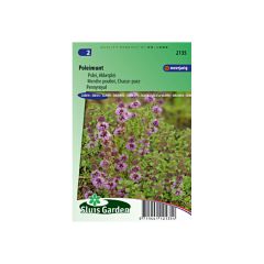 Menthe Pouliot (Graines) - Mentha pulegium