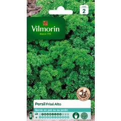 Persil frisé Alto (Création Vilmorin) - Vilmorin