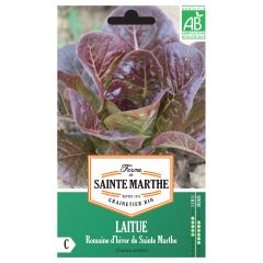 Laitue Romaine d'Hiver de Sainte-Marthe Bio - Ferme de Sainte Marthe