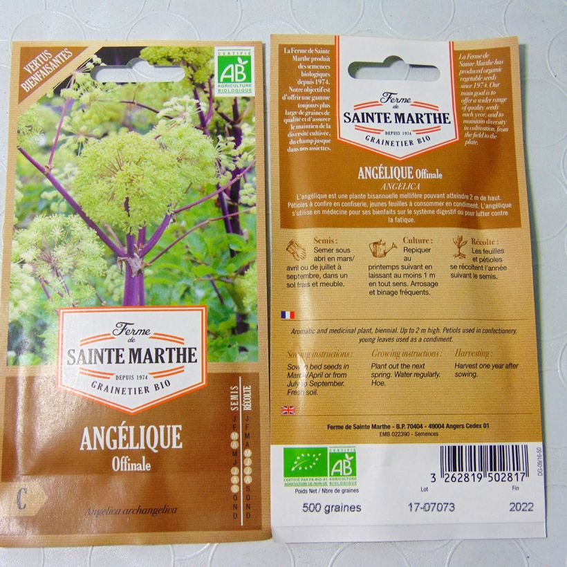 Example of Angélique officinale Bio - Ferme de Sainte Marthe le sachet de 400 graines environ (2g) as you get