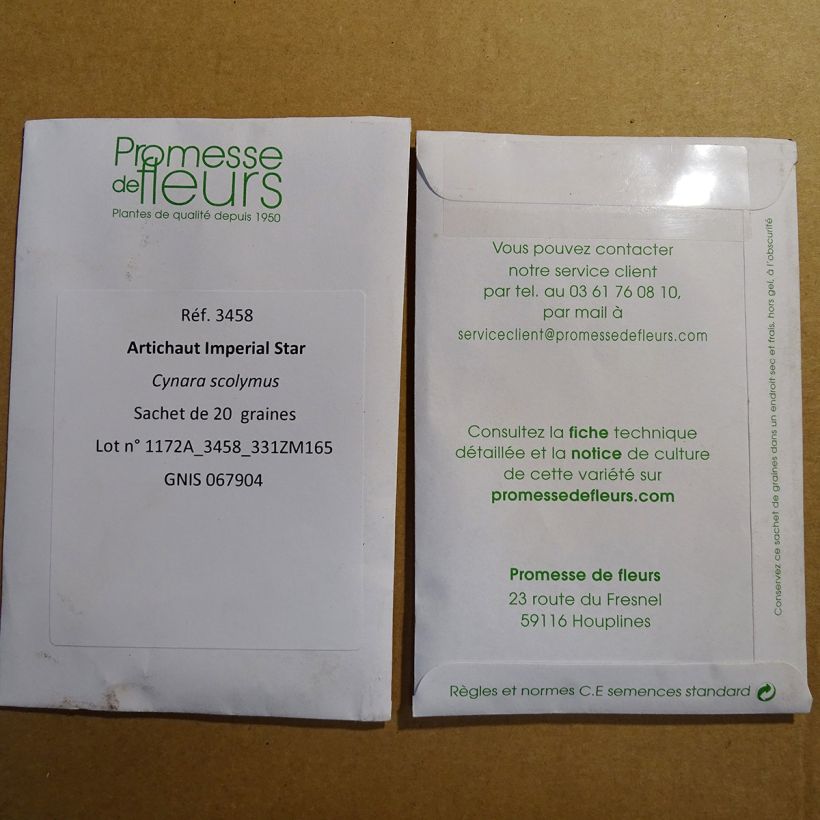 Exemple de spécimen de Artichaut Imperial Star - Cynara Scolymus le sachet de 20 graines environ (1g) tel que livré