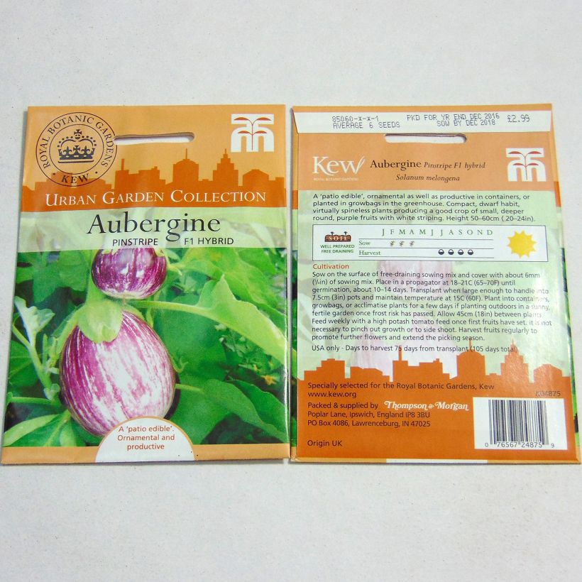 Exemple de spécimen de Aubergine Pinstripe - Solanum melongea le sachet de 6 graines environ tel que livré