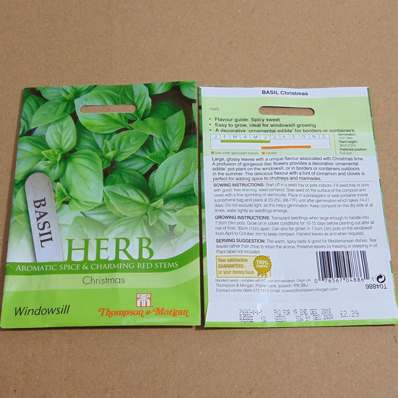 Exemple de spécimen de Basilic Christmas le sachet de 150 graines environ tel que livré