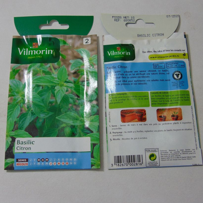 Exemple de spécimen de Basilic Citron - Vilmorin le sachet de 800 graines environ (1g) tel que livré