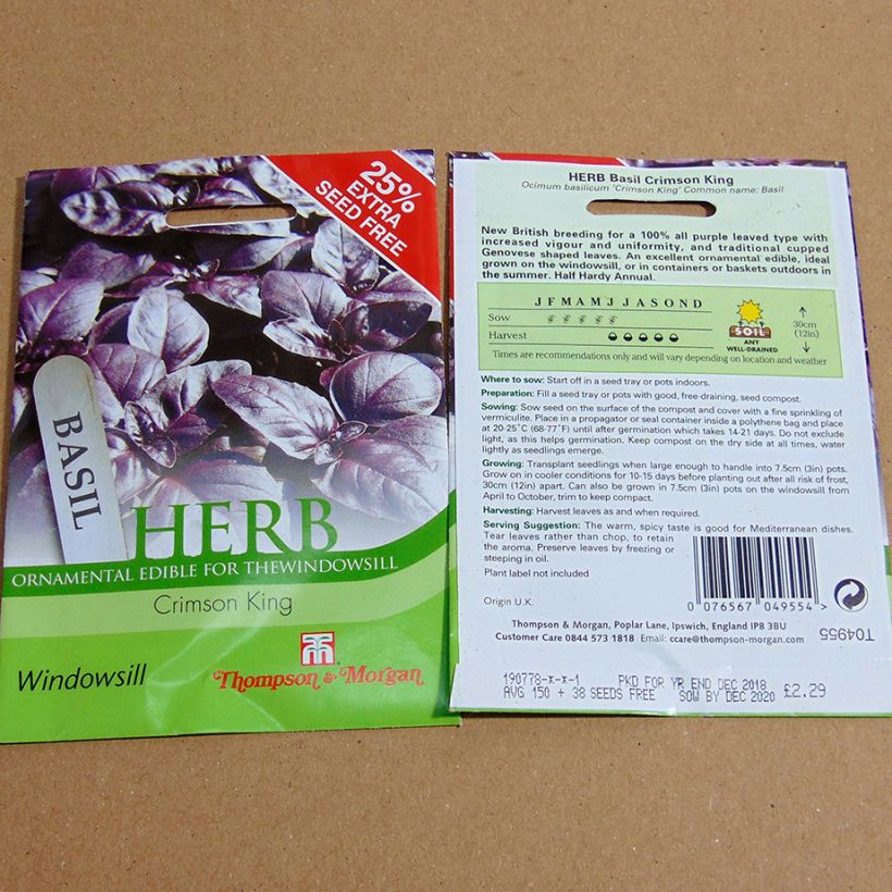 Exemple de spécimen de Basilic Crimson King le sachet de 150 graines environ tel que livré