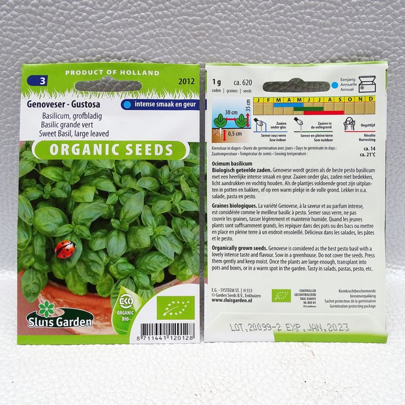 Exemple de spécimen de Basilic Gustosa Bio - Basilic à larges feuilles Genoveser le sachet de 620 graines environ (1g) tel que livré