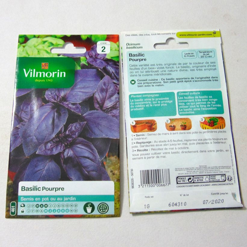 Exemple de spécimen de Basilic Pourpre - Vilmorin le sachet de 800 graines environ (1g) tel que livré
