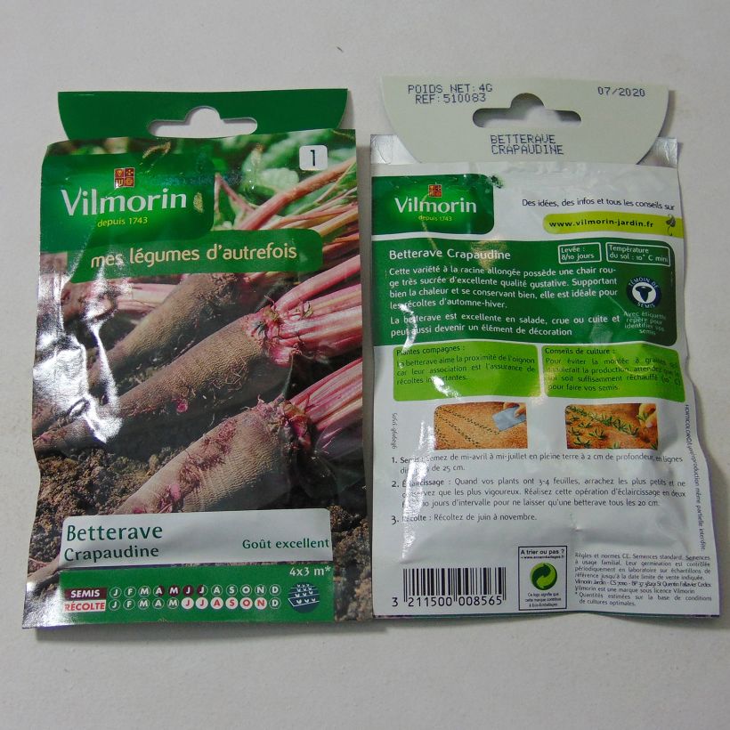 Example of Betterave Crapaudine - Vilmorin le sachet de 200 graines environ (4g) as you get