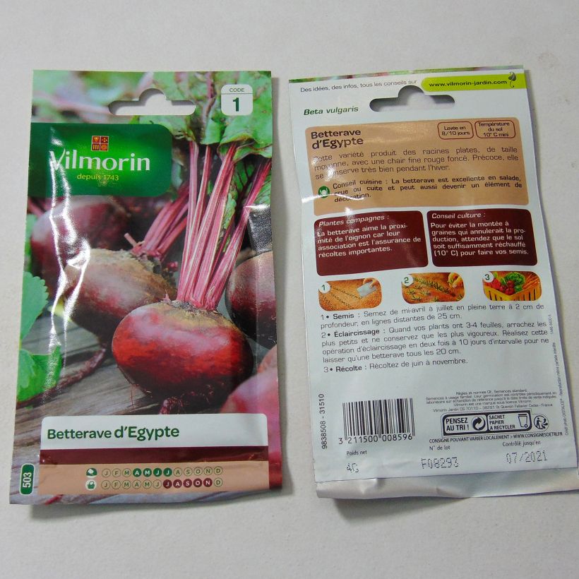 Example of Betterave noire plate d'Egypte - Vilmorin le sachet de 200 graines environ (4g) as you get