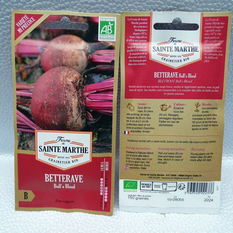 Exemple de spécimen de Betterave rouge Bull's Blood Bio - Ferme de Sainte Marthe le sachet de 150 graines environ tel que livré