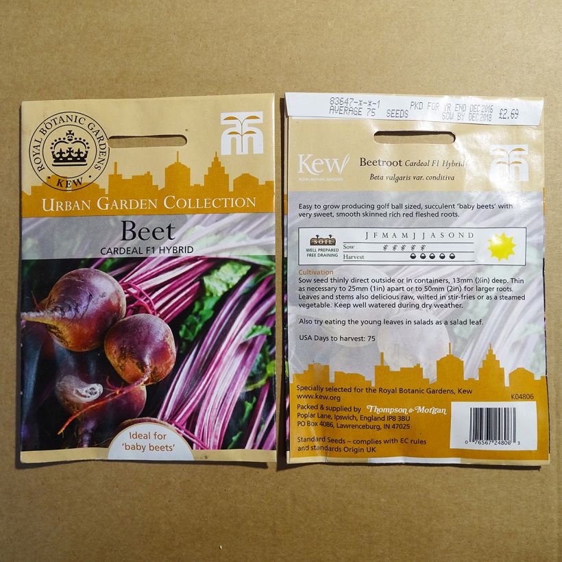 Example of Betterave rouge Cardeal F1 - Beta vulgaris le sachet de 75 graines environ as you get