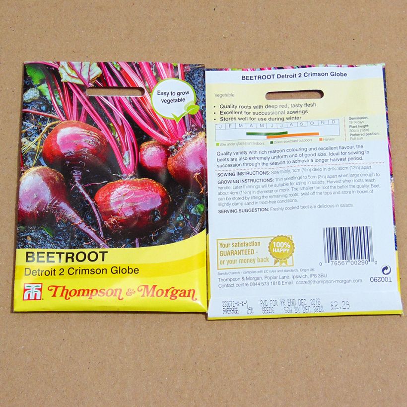 Example of Betterave rouge Detroit 2 Crimson Globe - Beta vulgaris le sachet de 300 graines environ as you get