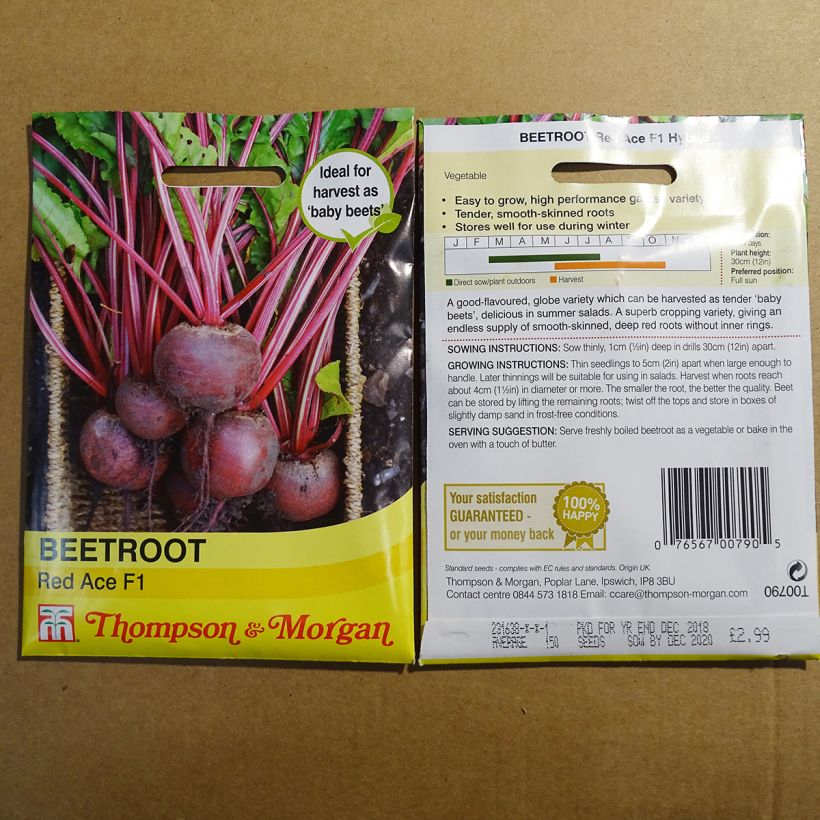 Example of Betterave rouge Red Ace F1 - Beta vulgaris le sachet de 150 graines environ as you get
