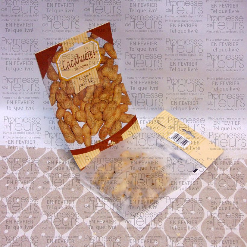 Example of Cacahuètes  - Arachide le sachet de graines de 50 grammes as you get
