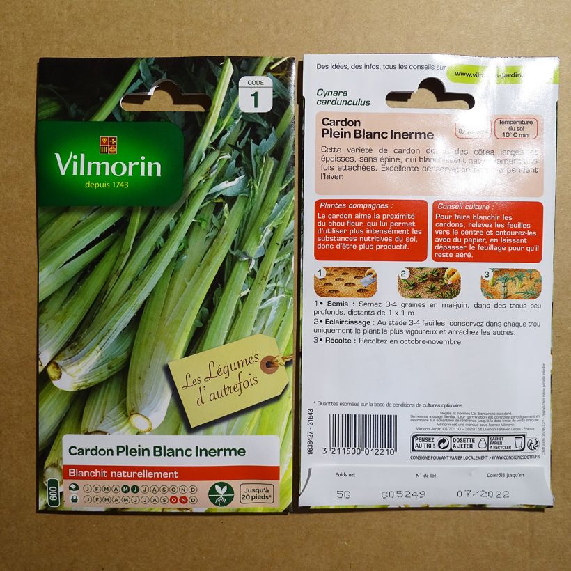 Exemple de spécimen de Cardon plein blanc inerme – Vilmorin le sachet de 125 graines environ (5g) tel que livré