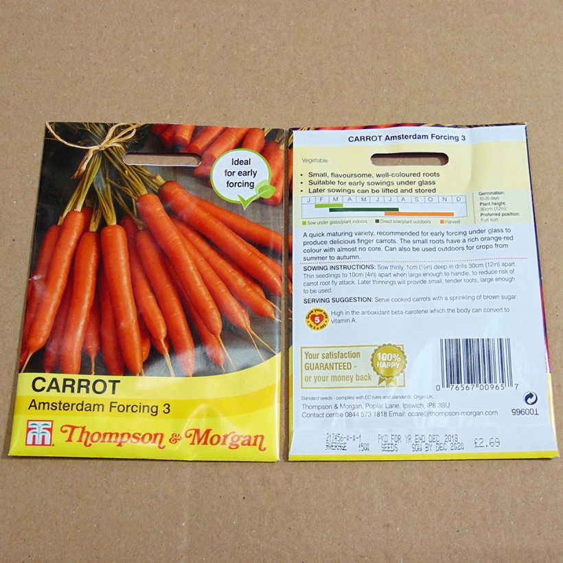 Example of Carotte Amsterdam Forcing 3 - Daucus carota  le sachet de 2000 graines environ as you get