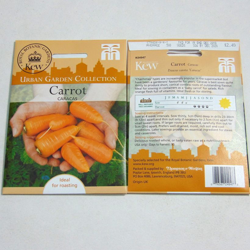 Example of Carotte Caracas - Daucus carota  le sachet de 500 graines environ as you get