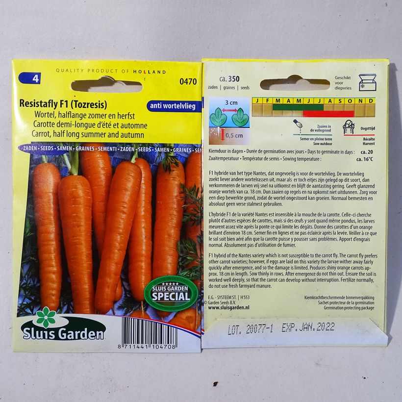 Example of Carotte Resistofly F1 - Daucus carota le sachet de 375 graines environ as you get