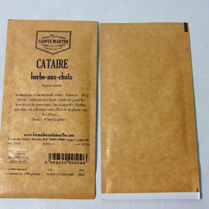 Exemple de spécimen de Cataire NT - Ferme de Sainte Marthe le sachet de 1000 graines environ tel que livré
