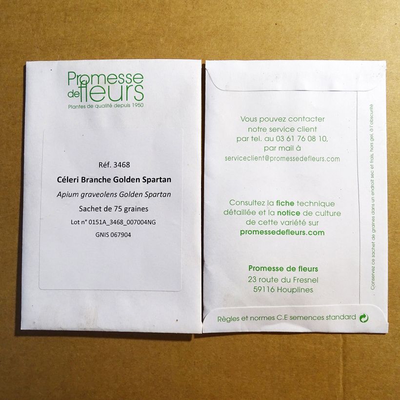 Exemple de spécimen de Céleri Branche Golden Spartan - Apium graveolens le sachet de 75 graines environ tel que livré