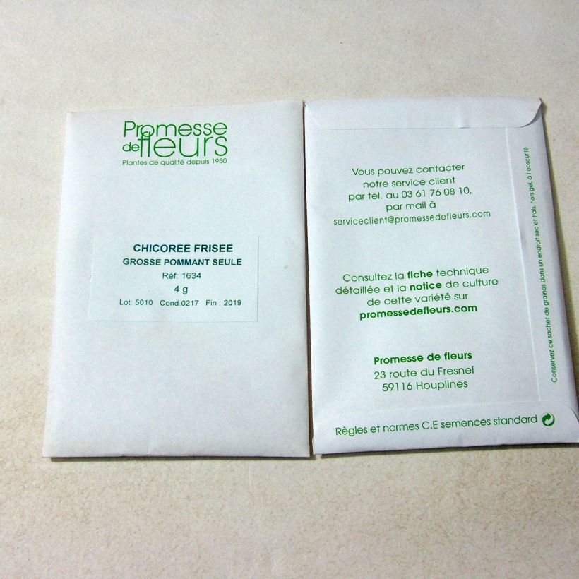 Exemple de spécimen de Chicorée frisée Grosse Pommant Seule - Cichorium endivia var. crispum le sachet de +/- 2500 graines environ (minimum 4g) tel que livré