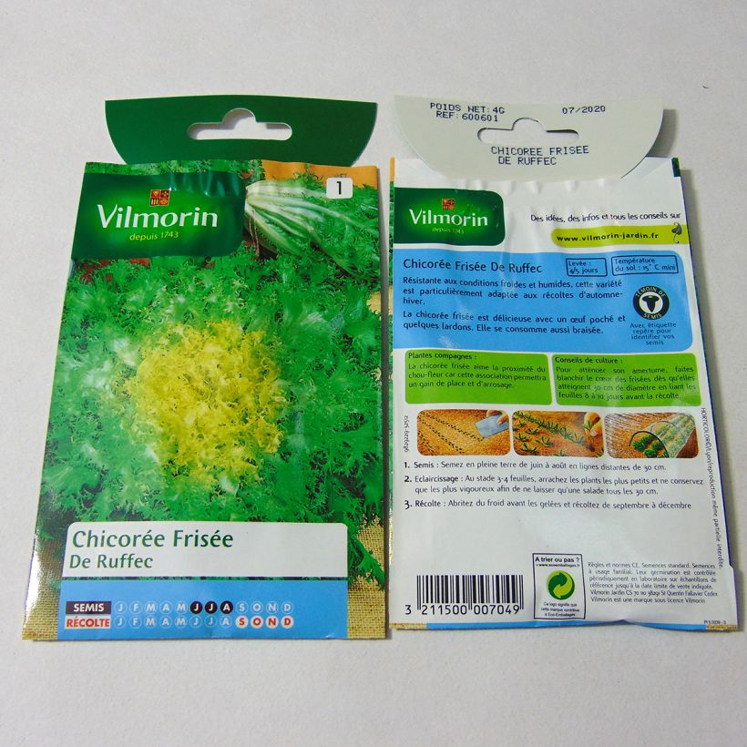 Exemple de spécimen de Chicorée frisée de Ruffec - Vilmorin le sachet de 2400 graines environ (4g) tel que livré