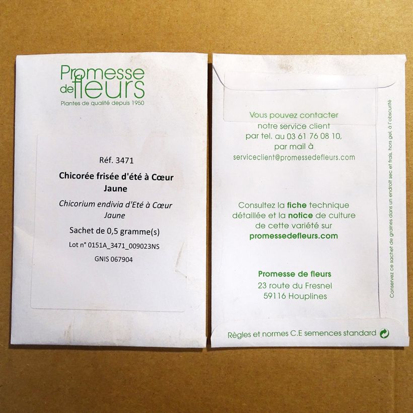 Exemple de spécimen de Chicorée frisée d'été à Cœur Jaune  le sachet de 300 graines environ (0.5g) tel que livré