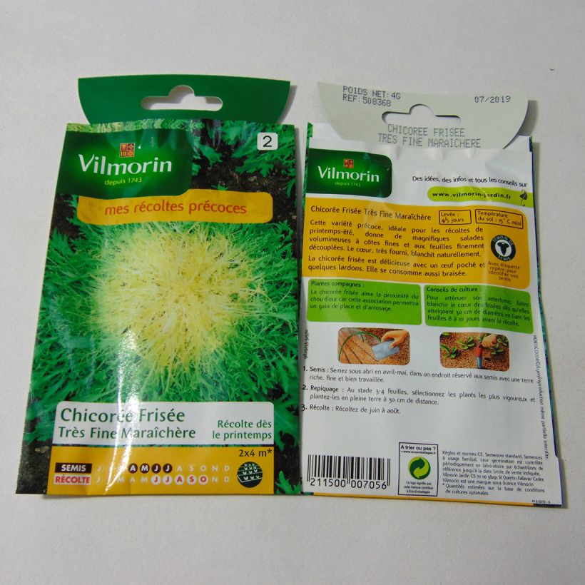 Exemple de spécimen de Chicorée frisée très fine maraîchère 3 - Vilmorin le sachet de 2400 graines environ (4g) tel que livré
