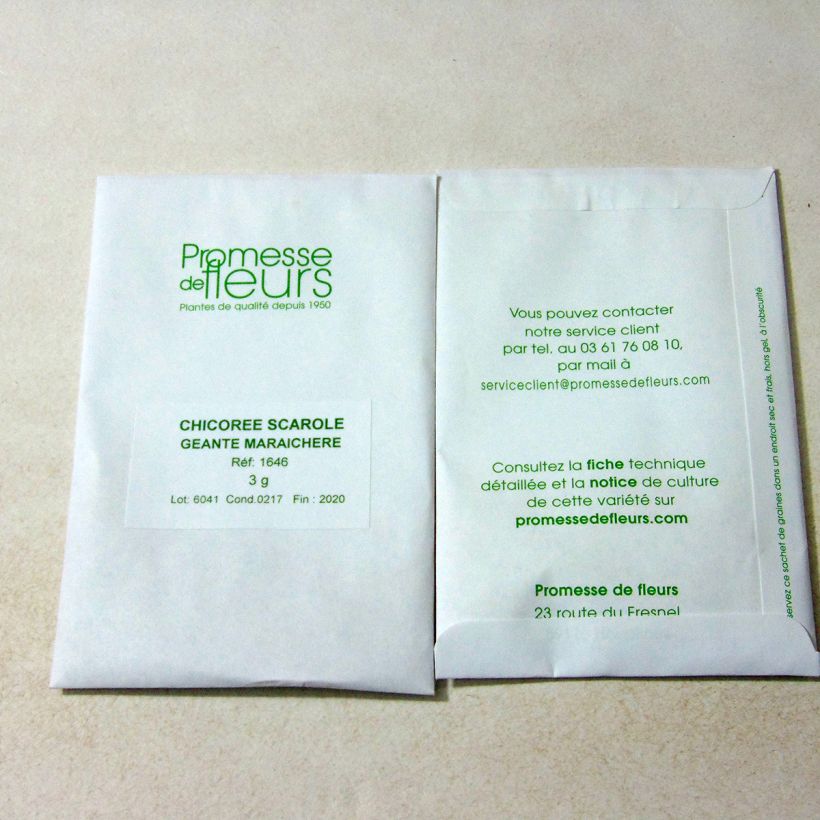 Example of Chicorée scarole Géante Maraîchère - Cichorium endivia le sachet de 1800 graines environ (minimum 3g) as you get