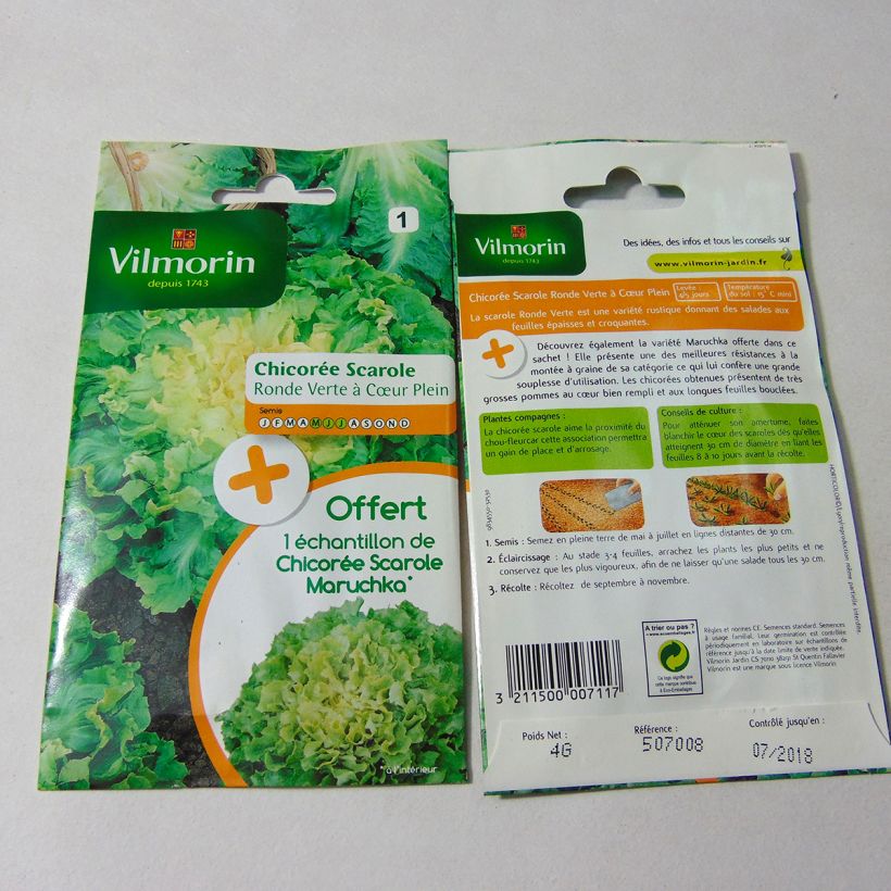 Example of Chicorée scarole Ronde verte à cœur plein + échantillon scarole Maruchka - Vilmorin le sachet de 2400 graines environ (4g) as you get