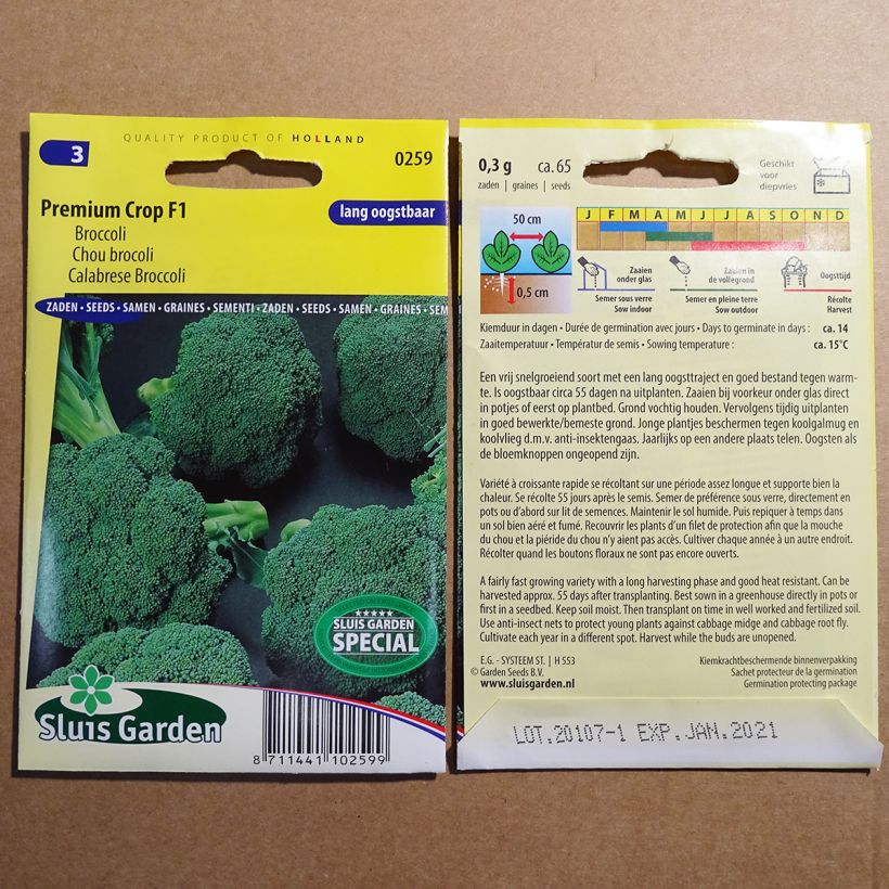 Exemple de spécimen de Chou Brocoli Premium Crop F1 le sachet de 65 graines environ tel que livré