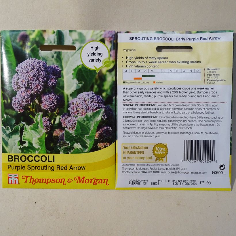 Exemple de spécimen de Chou Brocoli Red Arrow le sachet de 100 graines environ tel que livré