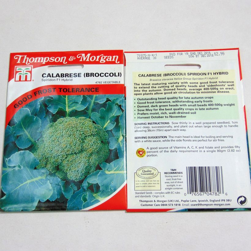 Exemple de spécimen de Chou Brocoli Spiridon F1 le sachet de 30 graines environ tel que livré