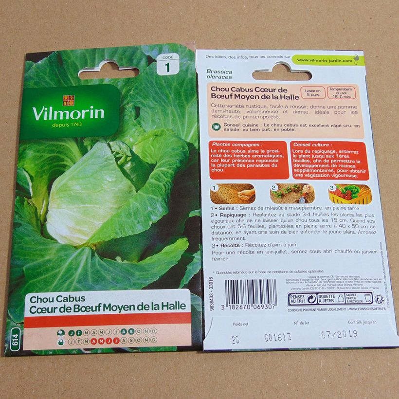 Example of Chou Cabus Cœur de Bœuf Moyen de la Halle - Vilmorin le sachet de 800 graines environ (2g) as you get