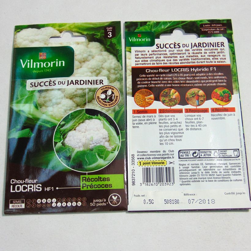 Example of Chou-Fleur Locris HF1 (Création Vilmorin) - Vilmorin le sachet de 200 graines environ (0.5g) as you get