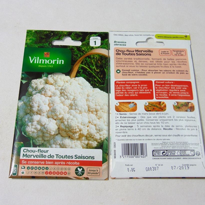 Exemple de spécimen de Chou-Fleur Merveille de Toutes Saisons - Vilmorin le sachet de 320 graines environ (0.8g) tel que livré