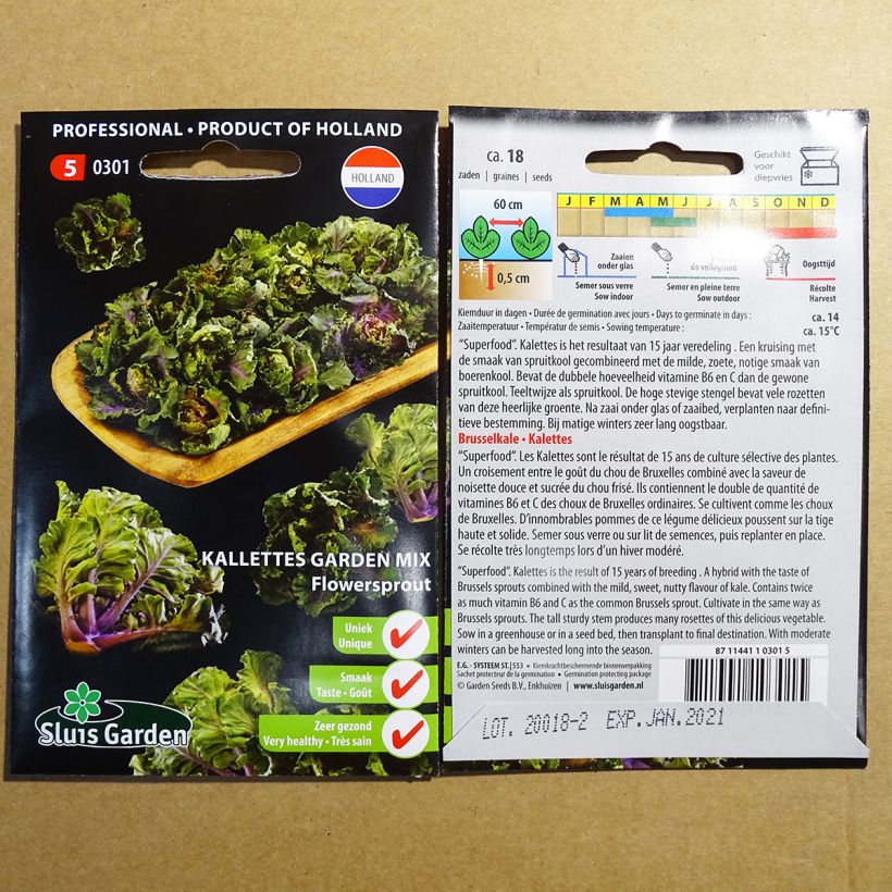 Exemple de spécimen de Chou Flower Sprout - Kalettes Garden Mix le sachet de 18 graines environ tel que livré