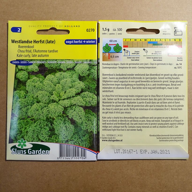 Exemple de spécimen de Chou Frisé d'Automne tardif le sachet de 500 graines environ (1g) tel que livré