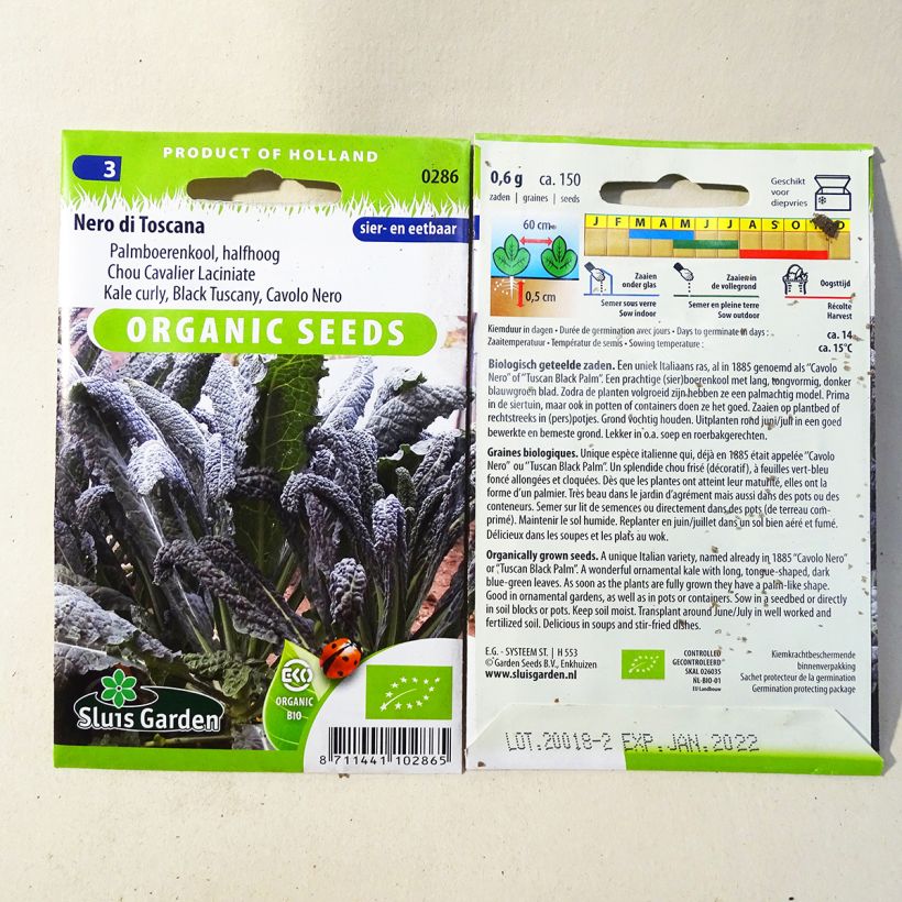 Example of Chou Kale Nero di Toscana Bio le sachet de 150 graines environ (0,7g) as you get