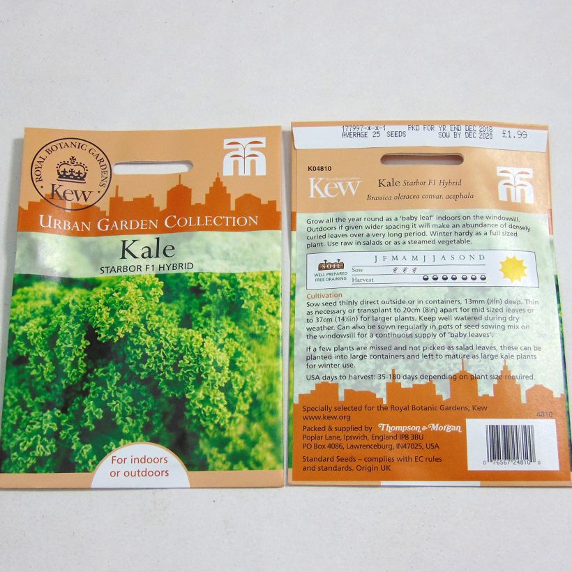 Exemple de spécimen de Chou Kale Starbor F1 le sachet de 25 graines environ tel que livré