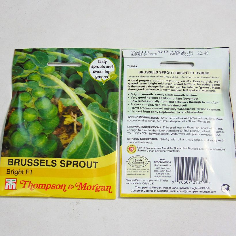 Exemple de spécimen de Chou de Bruxelles Bright F1 le sachet de 30 graines environ tel que livré