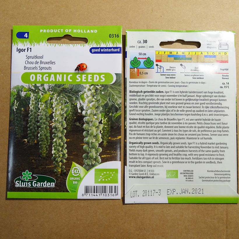 Example of Chou de Bruxelles Igor F1 Bio le sachet de 30 graines environ as you get