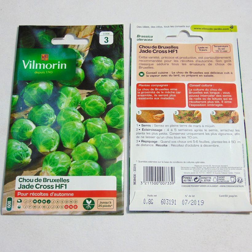 Exemple de spécimen de Chou de Bruxelles Jade Cross F1 - Vilmorin le sachet de 325 graines environ (0.8g) tel que livré