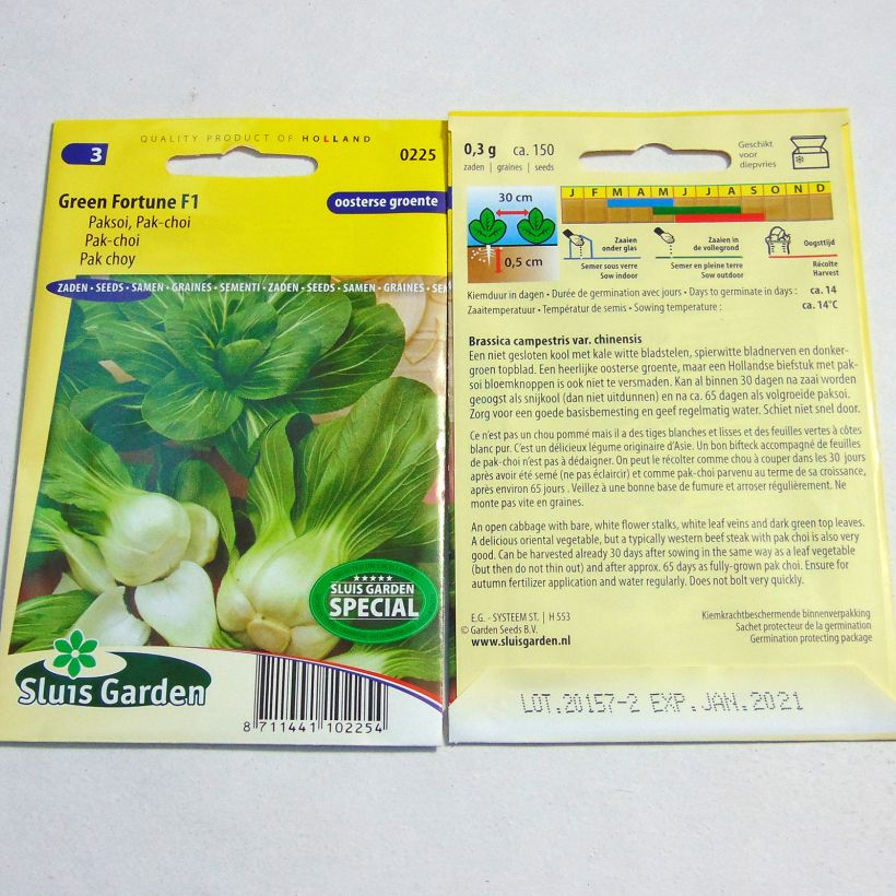 Exemple de spécimen de Chou de Chine Pak Choi Green Fortune F1 - Brassica campestris le sachet de 150 graines environ tel que livré