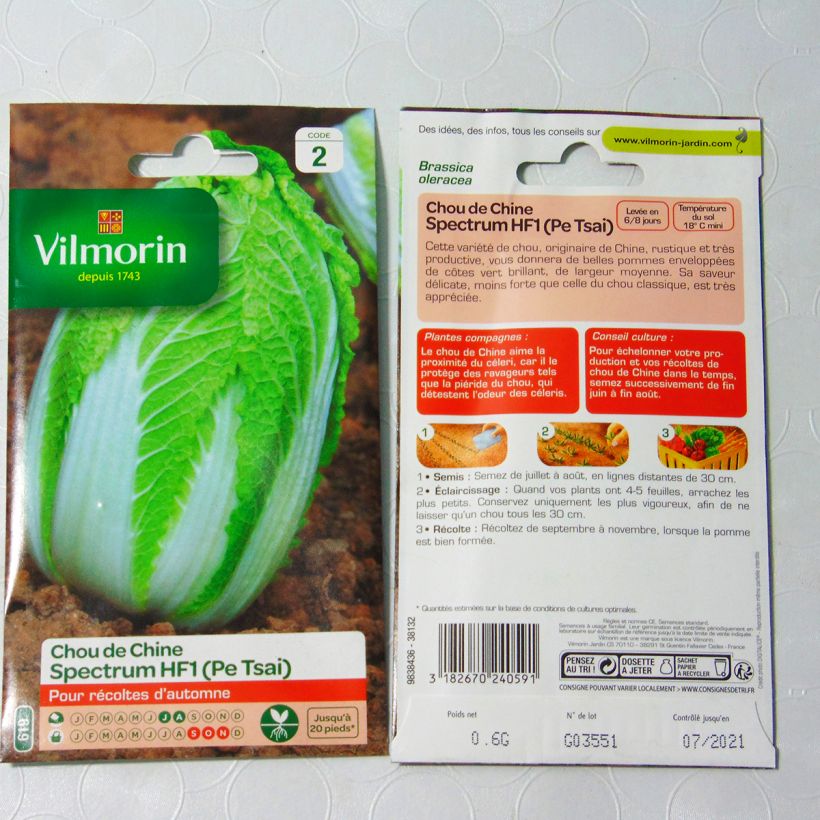 Example of Chou de Chine Pe Tsai Spectrum F1 - Vilmorin Graines as you get