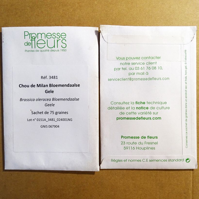 Exemple de spécimen de Chou de Milan Bloemendaalse Gele  le sachet de 75 graines environ tel que livré