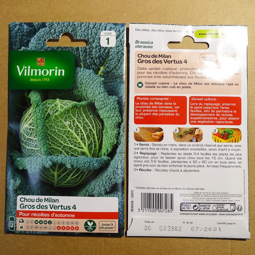Example of Chou de Milan Gros des Vertus - Vilmorin le sachet de 800 graines environ (2g) as you get