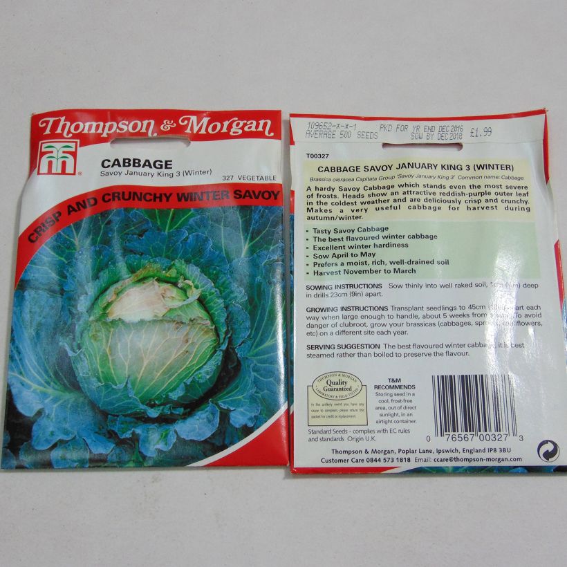 Exemple de spécimen de Chou de Milan January King 3 le sachet de 500 graines environ tel que livré